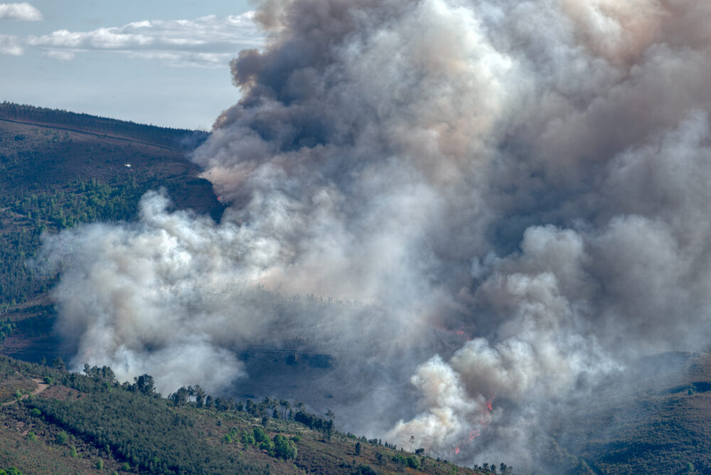 Incendio boschivo in Gironda