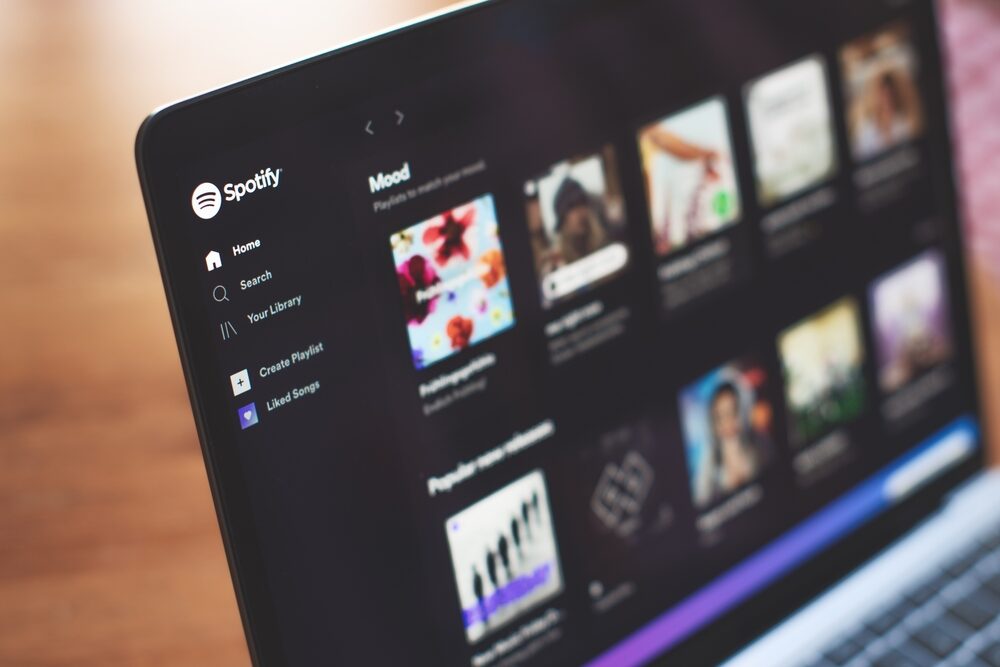 Grafica rappresentativa del nuovo servizio di Spotify