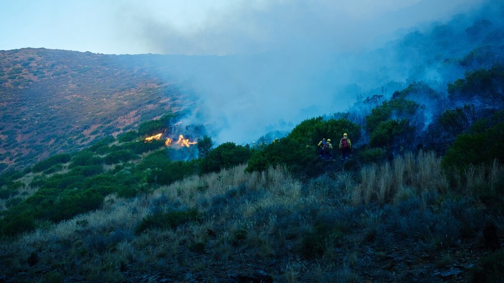Interventi dei Vigili del Fuoco in Sicilia