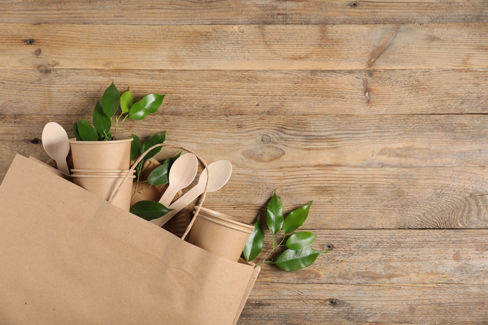 Immagine rappresentativa del packaging sostenibile