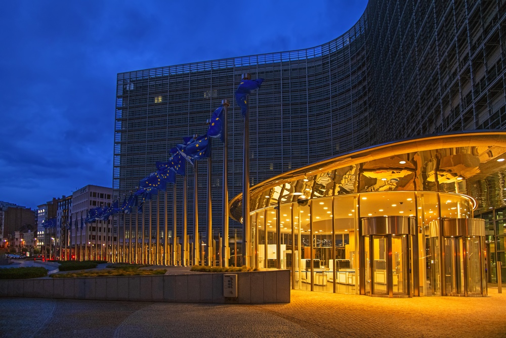 Commissione Europea e accesso minori alle reti sociali