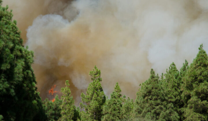 Incendi in Gironda