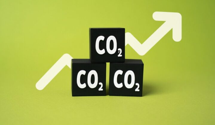Grafico sul prezzo delle emissioni di CO2